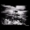 7inch Vinyl Single - Cross Section - Abandoned