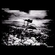 Cross Section - Abandoned