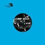 12inch Vinyl Single - Crazy Bitch In A Cave // Hard Ton - Split
