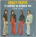 7inch Vinyl Single - Crazy Horse - Et Surtout Ne M'oublie Pas