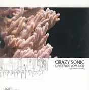 Crazy Sonic - Das Ende vom Lied