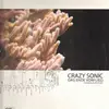 12inch Vinyl Single - Crazy Sonic - Das Ende vom Lied