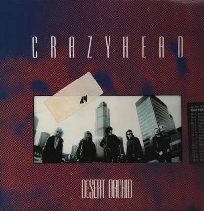 Crazyhead - Desert Orchid