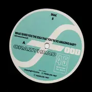 12inch Vinyl Single - Crazyhead - What Gives You The Idea That You're So Amazing Baby?