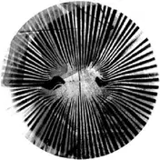 Crazy P - Changes ( Appleblim Rmxs )