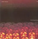 LP - Crack The Sky - From The Greenhouse - Gatefold
