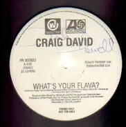 Craig David - What's Your Flava?