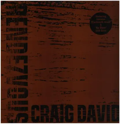 Craig David / Guru - Rendezvous