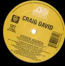 12inch Vinyl Single - Craig David - Hidden Agenda / Personal