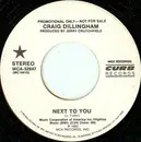 7inch Vinyl Single - Craig Dillingham - Next To You