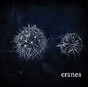 Cranes - Cranes