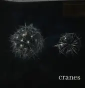 Cranes - Cranes