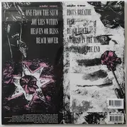 LP - Cranes - Self-Non-Self - Crystal Clear Vinyl, 180g, Numbered, Ltd Ed.