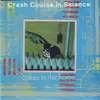 7inch Vinyl Single - Crash Course In Science - Cakes In The Home - + insert