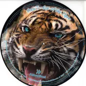 Crew 7 - Eye Of The Tiger