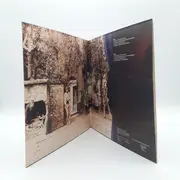 LP - Creative Rock - Gorilla - Original German Press on Brain / Gatefold
