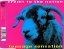CD - Credit To The Nation - Teenage Sensation