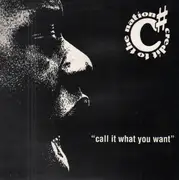 12inch Vinyl Single - Credit To The Nation - Call It What You Want