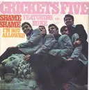 7inch Vinyl Single - Crickets Five featuring Mike Peng - Shame Shame