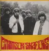 LP - Crimson Shadows - Hangin' Out! - rare neo-garage