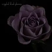 Crippled Black Phoenix - Painful Reminder/Dead Is Dead