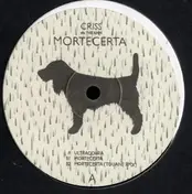 the rain - Mortecerta