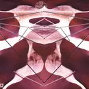 Double LP - Cristi Cons - Out Of Cycle LP