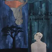CD - Cru Jones - A Roadside View