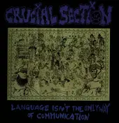 Crucial Section - Language Isn't The Only Way Of Communication