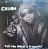 12inch Vinyl Single - Crush - Tell Me What's Happnin' - Still Sealed