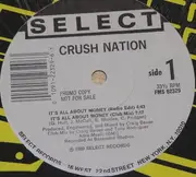 12inch Vinyl Single - Crush Nation - But I Was Cool