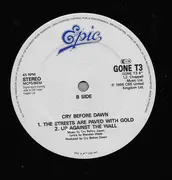 12inch Vinyl Single - Cry Before Dawn - Witness For The World