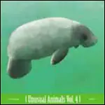Cryptacize / Why? - Unusual Animals Vol. 4