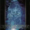 CD - Cryptic Wintermoon - A Coming Storm - Promo in cardsleeve