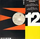 12inch Vinyl Single - Crystal Waters - Surprise