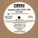 12inch Vinyl Single - Cuban Link & Fat Joe - Why Me?