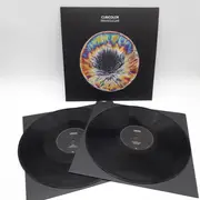Double LP - Cubicolor - Brainsugar