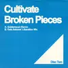 12inch Vinyl Single - Cultivate - Broken Pieces