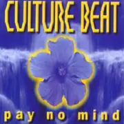 2 x 12inch Vinyl Single - Culture Beat - Pay No Mind