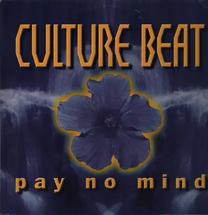 Culture Beat - Pay No Mind