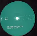 12inch Vinyl Single - Culture Groove - You Got Me So Hot