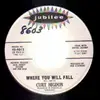 7inch Vinyl Single - Curt Higdon - Where You Will Fall / I Stole His Love - DJ copy