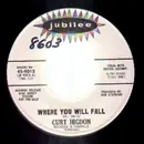 7inch Vinyl Single - Curt Higdon - Where You Will Fall / I Stole His Love - DJ copy