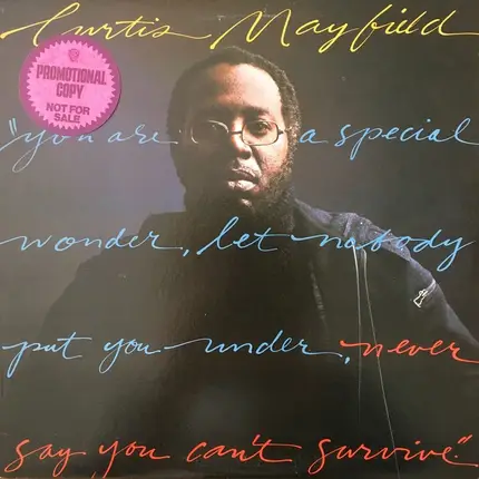 Curtis Mayfield - Never Say You Can't Survive