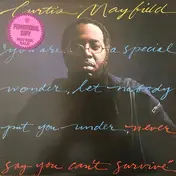 Curtis Mayfield - Never Say You Can't Survive