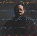 LP - Curtis Mayfield - Never Say You Can't Survive