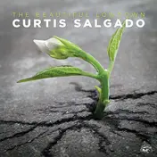 Curtis Salgado - The Beautiful Lowdown