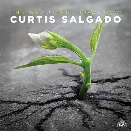 Curtis Salgado - The Beautiful Lowdown