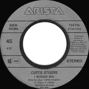 7inch Vinyl Single - Curtis Stigers - I Wonder Why
