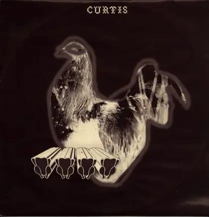 Curtis - Velcro